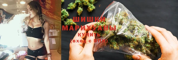 шишки Алексин