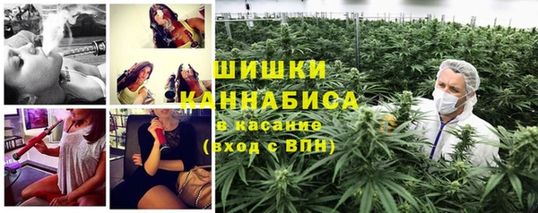 шишки Алексин