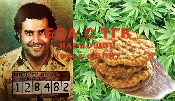 ECSTASY Алзамай