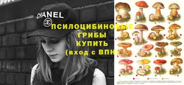 шишки Алексин