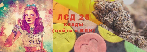 шишки Алексин