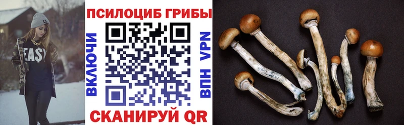 Псилоцибиновые грибы Cubensis  Невьянск 